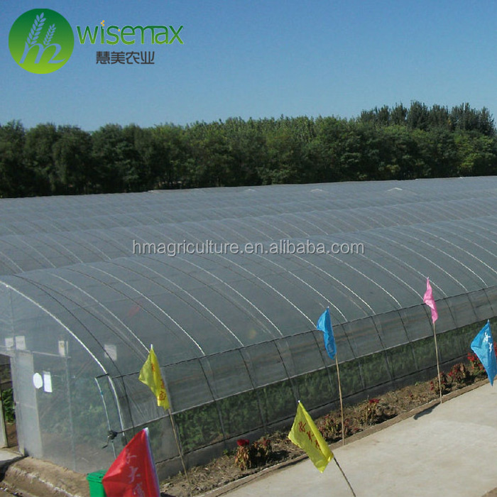 Now design plastic cover metal structure greenhouse for farming use