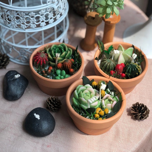 Customized High Quality Creative Plant Landscape Fragrance Candle Luxury Mini Succulent Scented Soy Wax Desert Cactus Candles