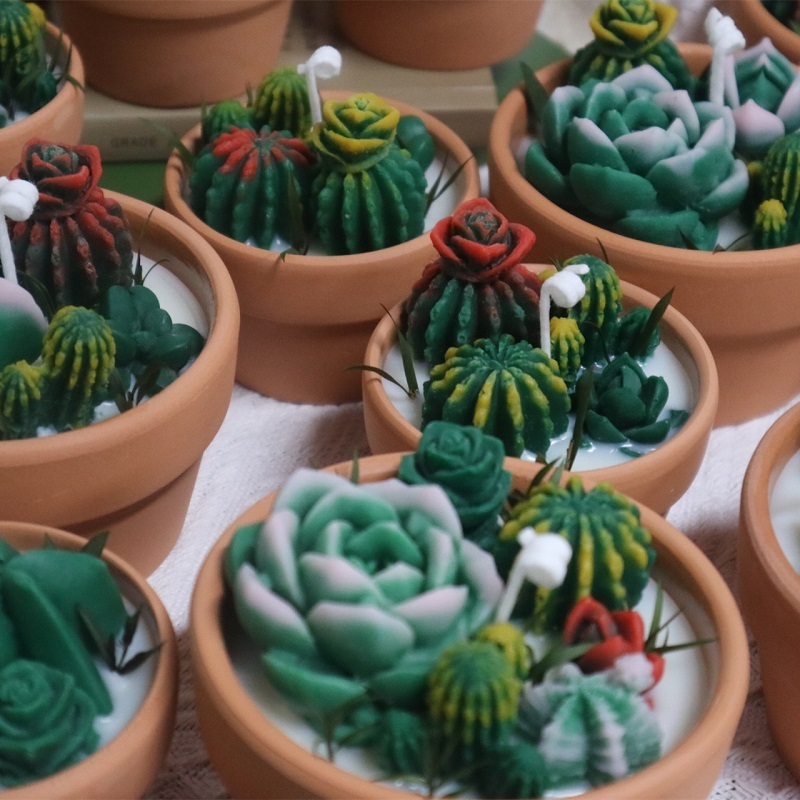 Customized High Quality Creative Plant Landscape Fragrance Candle Luxury Mini Succulent Scented Soy Wax Desert Cactus Candles