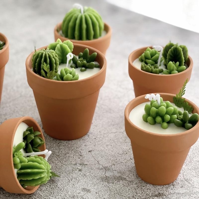 Customized High Quality Creative Plant Landscape Fragrance Candle Luxury Mini Succulent Scented Soy Wax Desert Cactus Candles