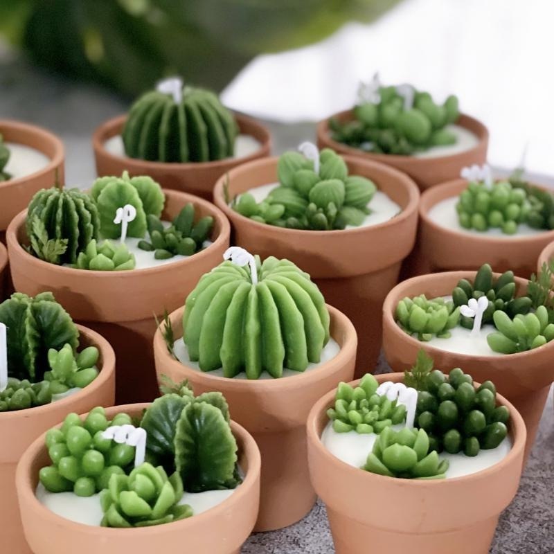 Customized High Quality Creative Plant Landscape Fragrance Candle Luxury Mini Succulent Scented Soy Wax Desert Cactus Candles