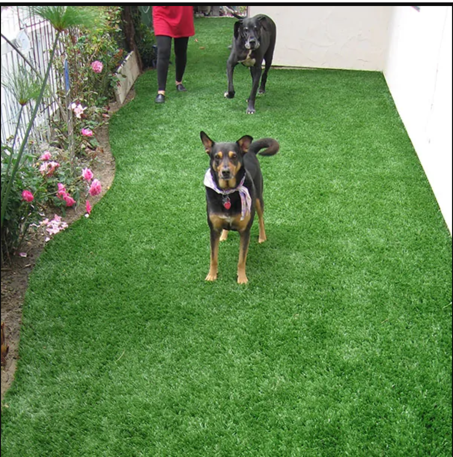 soft artificial grass carpet for dogs green grass carpet for pet outdoor landscape grass roll