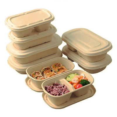 Biodegradable Fast Food Containers Packaging With Compartments  Disposable Bamboo Pulp Food Container Bento Lunch Box With Lid