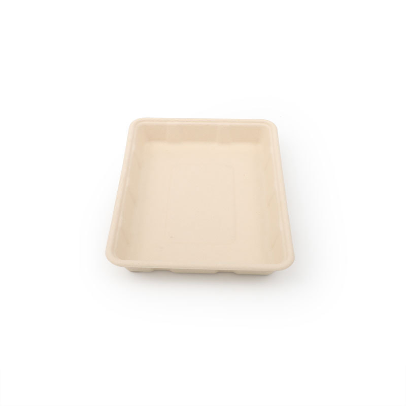 Cheap Sustainable Serving Bamboo Pulp Disposable Big Size Trays Perfect for Eco-Friendly Events disposable dumpling plate