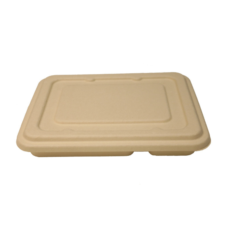 Biodegradable Takeaway Food Containers Takeout Dinner Box 2023 Hot Selling Compostable Disposable Sandwich Box Frozen Bread