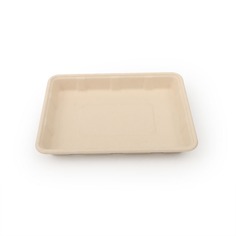 Cheap Sustainable Serving Bamboo Pulp Disposable Big Size Trays Perfect for Eco-Friendly Events disposable dumpling plate