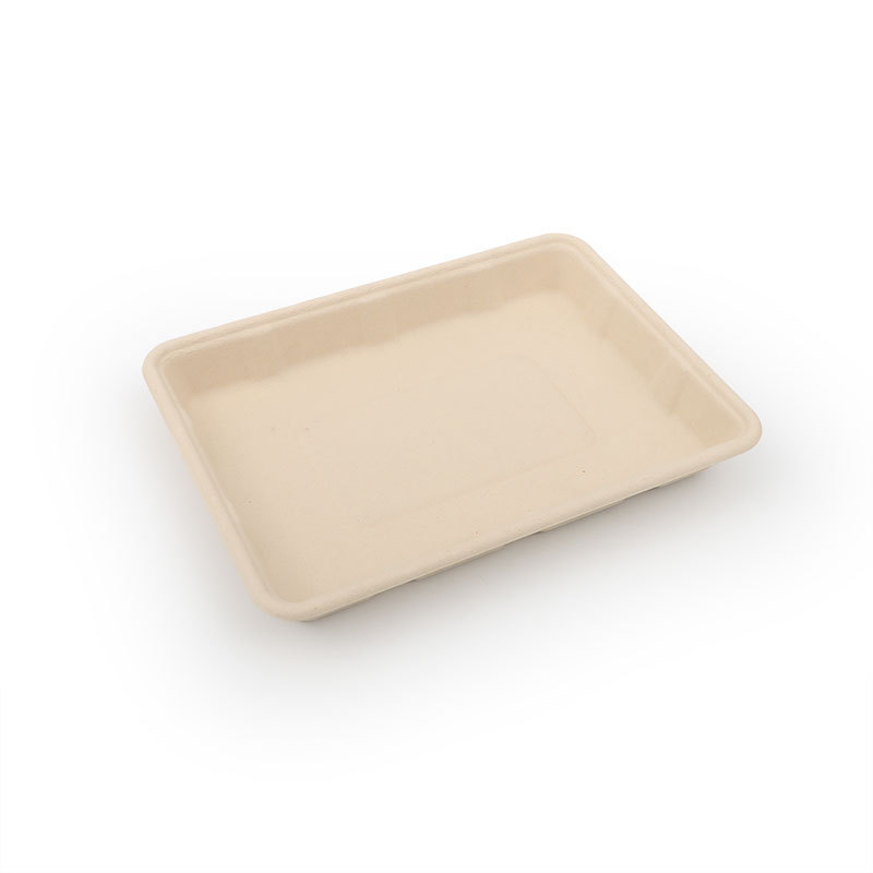 Cheap Sustainable Serving Bamboo Pulp Disposable Big Size Trays Perfect for Eco-Friendly Events disposable dumpling plate