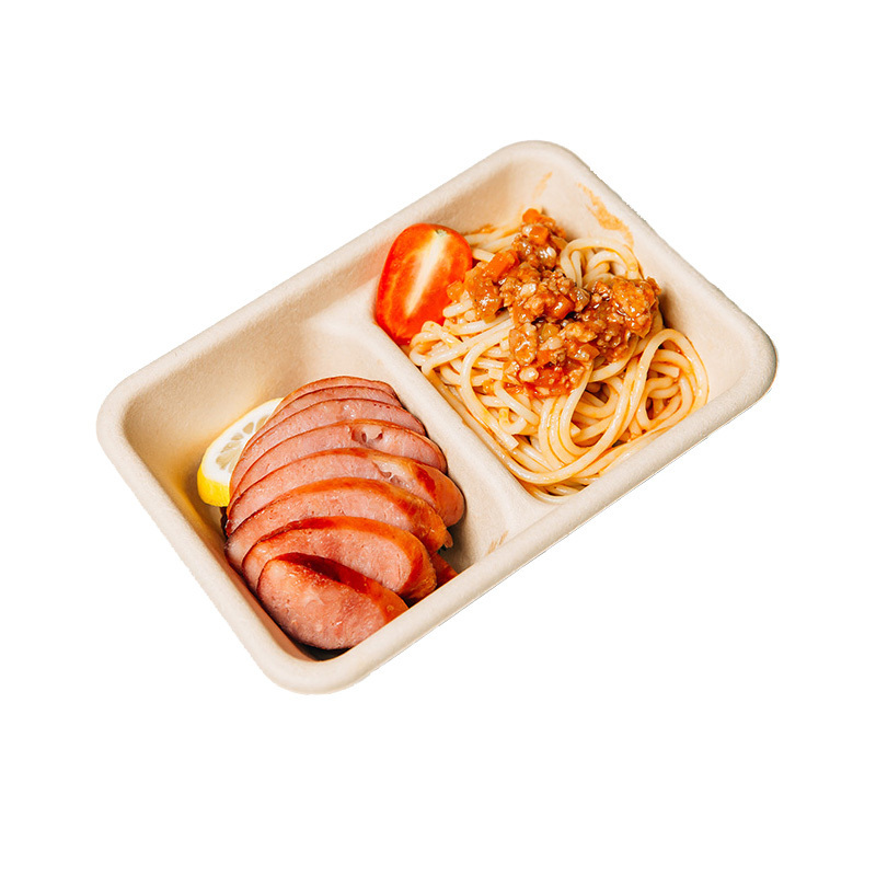 Biodegradable Fast Food Containers Packaging With Compartments  Disposable Bamboo Pulp Food Container Bento Lunch Box With Lid