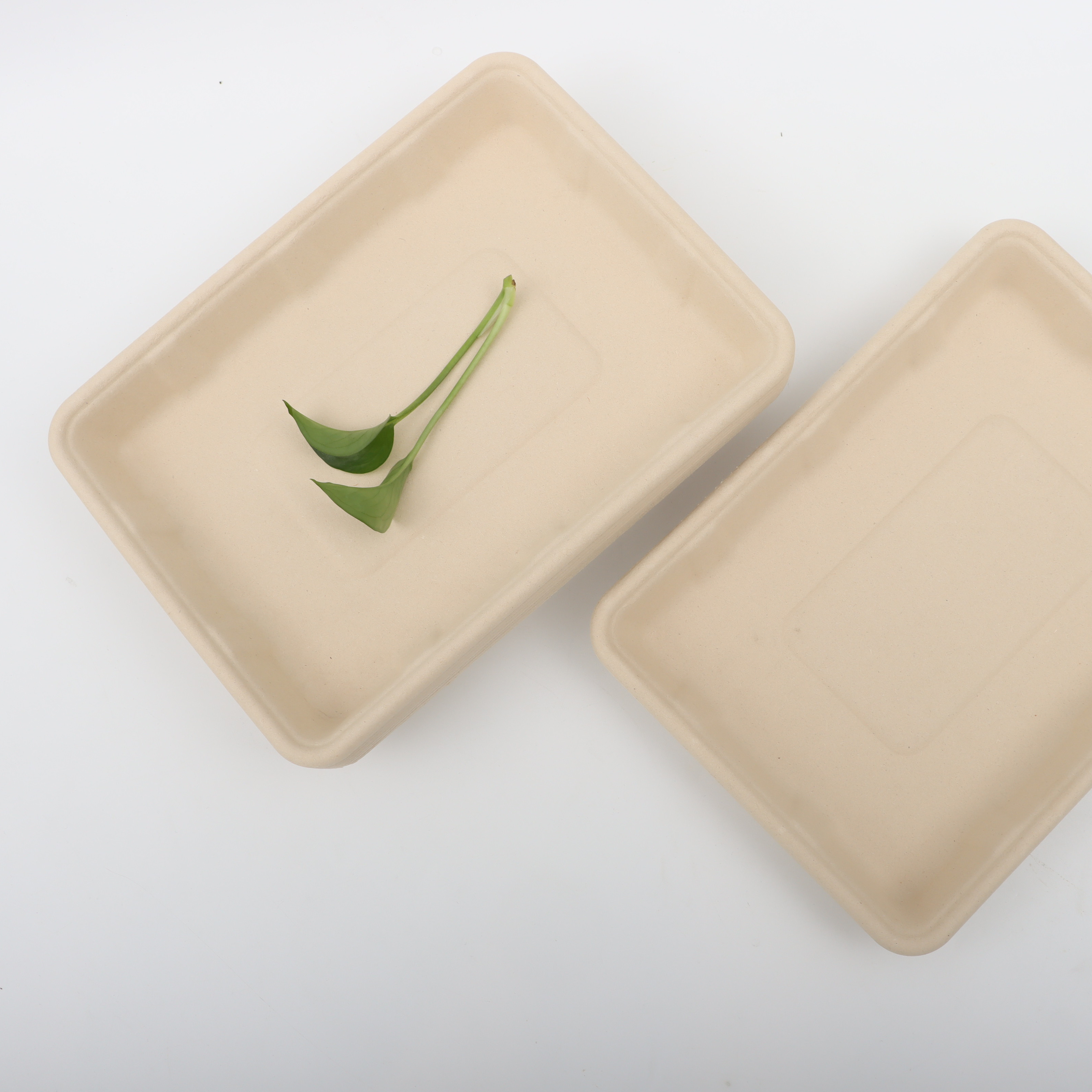 Cheap Sustainable Serving Bamboo Pulp Disposable Big Size Trays Perfect for Eco-Friendly Events disposable dumpling plate