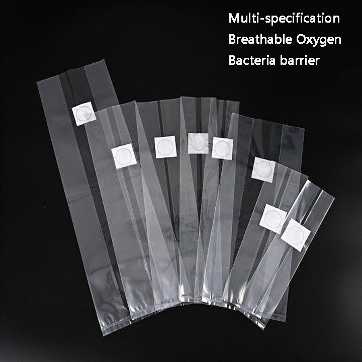 Professional Supplier Of Golden Oyster Mushroom Spawn Filter Bags