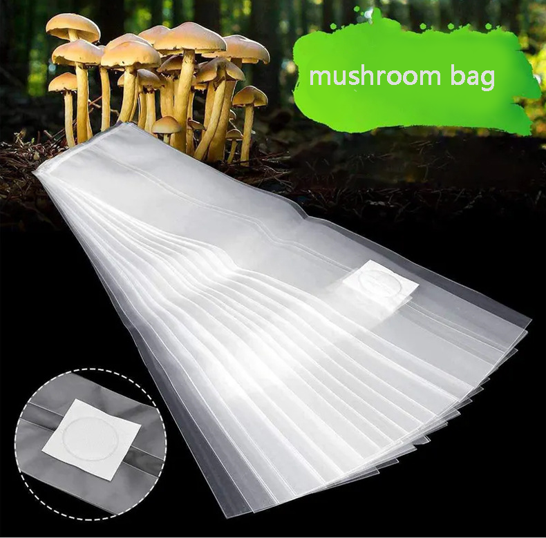 Professional Supplier Of Golden Oyster Mushroom Spawn Filter Bags