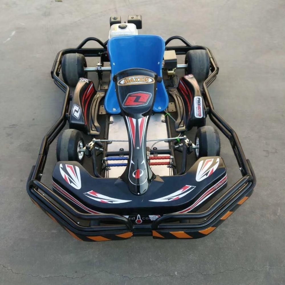 Theme Park Adult Electric Pedal Racing Go Kart