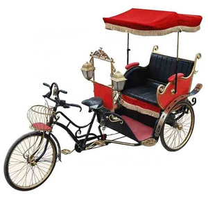 Sightseeing Three Wheel Tricycle Electric Rickshaw Pedicab