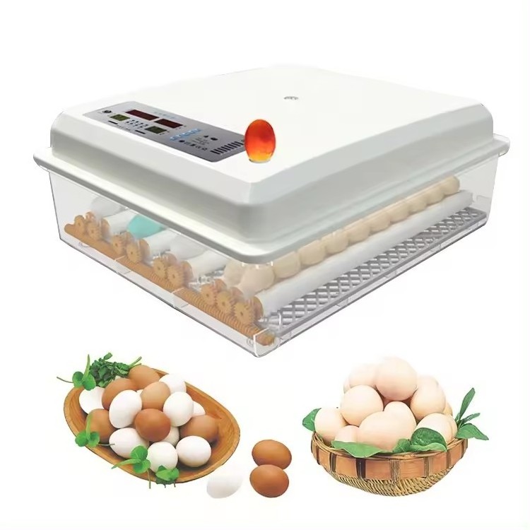 Hot Sale 16/36/64/120/176 Eggs Fully Automatic Incubator Hatching Eggs Machine Chicken Mini Egg Incubators