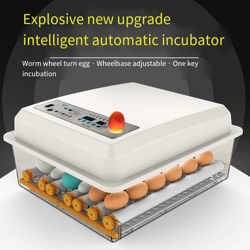 Hot Sale Automatic Chicken And Duck Egg Incubator Parrot Egg Incubator  For Pheasant Eggs