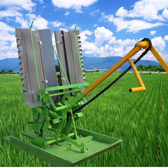 Hot Sale 2023 New Walk-Behind 6 Rows Paddy Rice Planting Machine from Vietnam Best Supplier Number Of Rows 4