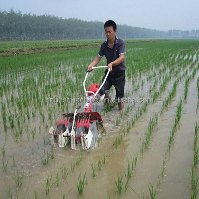 Philippines Small Farm Weeding Machine / 2 row paddy field weeder for sale