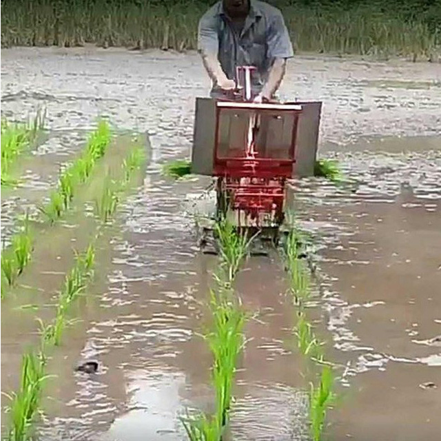 Hot Sale 2023 New Walk-Behind 6 Rows Paddy Rice Planting Machine from Vietnam Best Supplier Number Of Rows 4