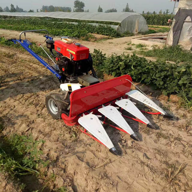 easy operate mountain fields clean reaping Alfalfa lavender rosemary harvesting machine combine harvester