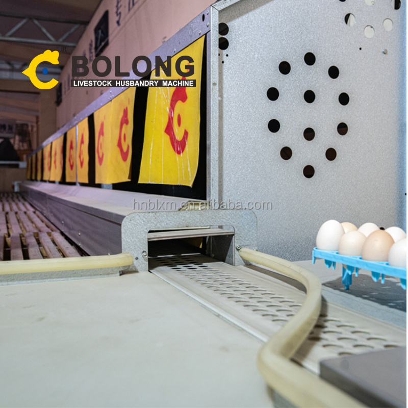 BOLONG Chicken Cage System automatic egg collecting machine automatic chicken raising equipment