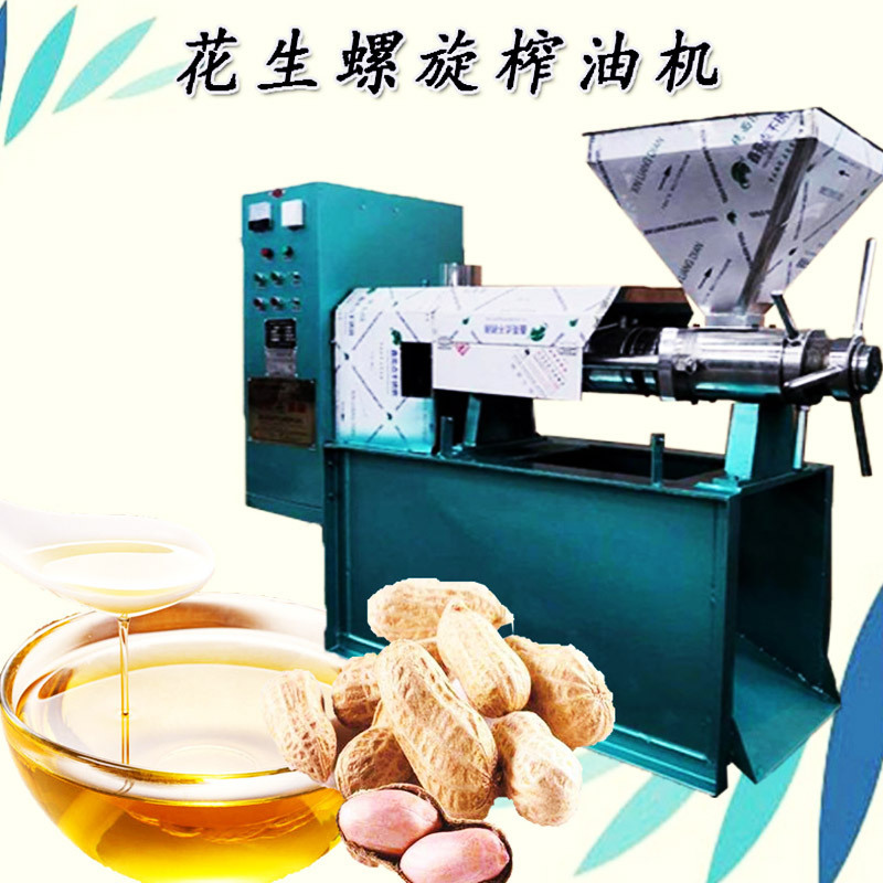 Large Capacity 130-200kg/h  SLX-300 Oil Pressers Machine High Efficiency Sunflower peanut Oil press Extraction Machine