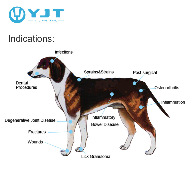 2022 YJT manufacturer handy cold laser therapy device for pet pain relief