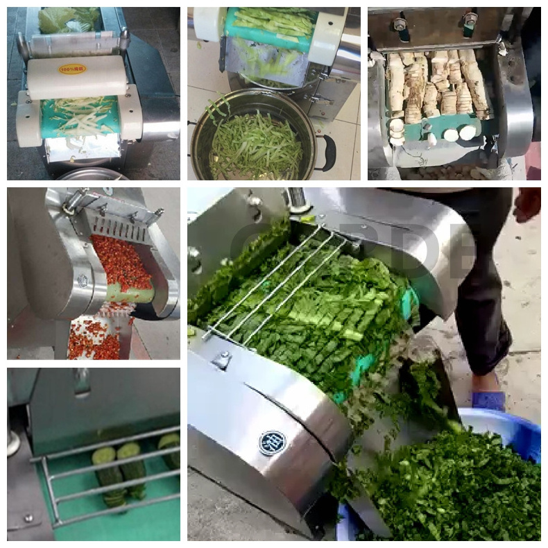 Parsley Leafy chopping machine cabbage onion carrot ginger onion cutter slicer chopper root vegetable cut machine slicer