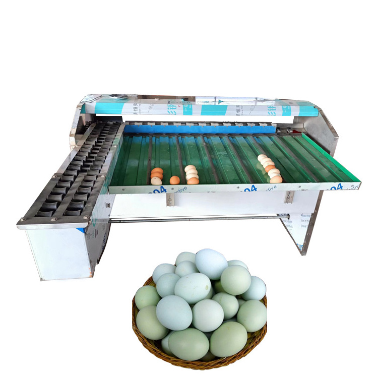 Automatically Egg Grader Machine Egg Grading Machine Grader Automatic Egg Sorting Machine And Packer