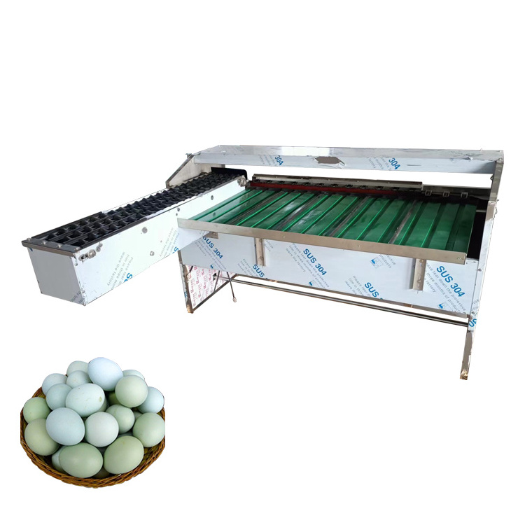 Automatically Egg Grader Machine Egg Grading Machine Grader Automatic Egg Sorting Machine And Packer