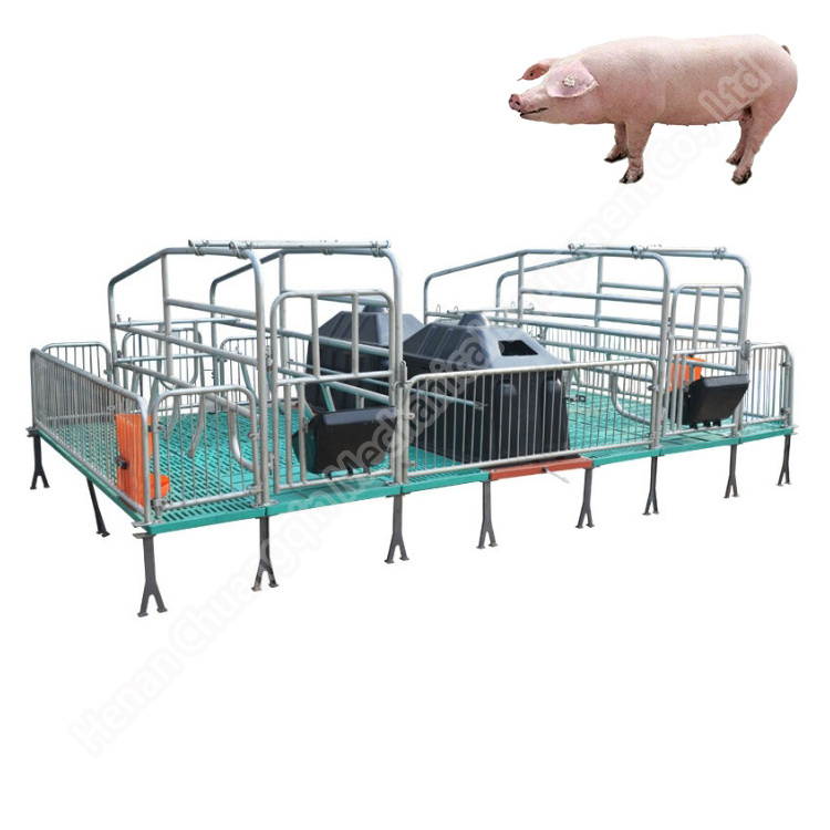 Farrowing Crate For Pig Sow Litter Gestation Cage Product