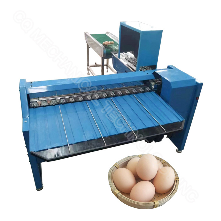 Egg grader machine egg grader for sale suppliers automatic egg sorting machine and packer