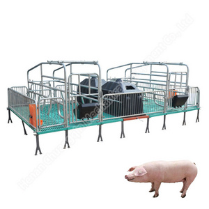 Farrowing Crate For Pig Sow Litter Gestation Cage Product