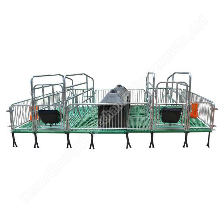 Pigs Product Pig Farrowing Crates Finishing Pen For Sows