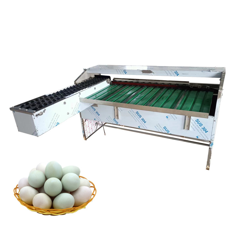 Automatically Egg Grader Machine Egg Grading Machine Grader Automatic Egg Sorting Machine And Packer