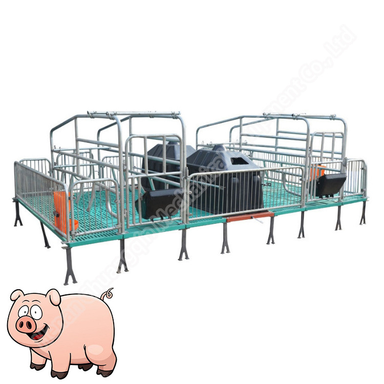 Pig Weaning Crate Finishing Pen For Sows Quality Sow Farrowing Cages