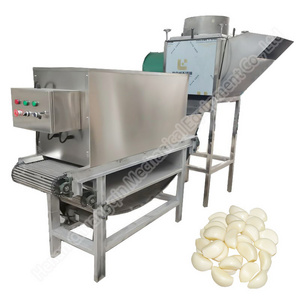 automatic dry pneumatic garlic peeling machine trade onion and garlic peeler machine