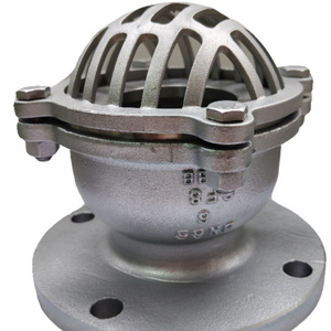 Stainless Steel Corrosion Resistant Lift Bottom Valve Sewage Pump Suction Flange Check Valve SS304 Filter Strainer Check Valve