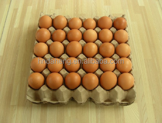 egg tray production equipment egg tray pulp machine paper egg tray molding machinery