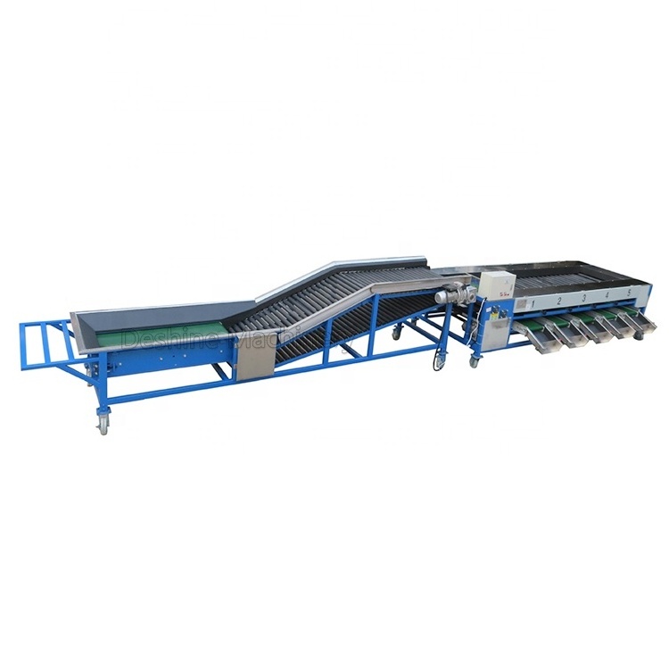 Good quality fruit and vegetable waxing and sorting/grading machine for Citrus/Lemon/Tomato