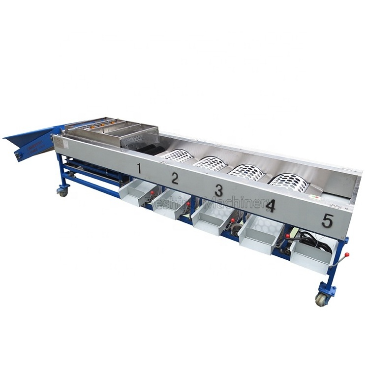 Good quality fruit and vegetable waxing and sorting/grading machine for Citrus/Lemon/Tomato