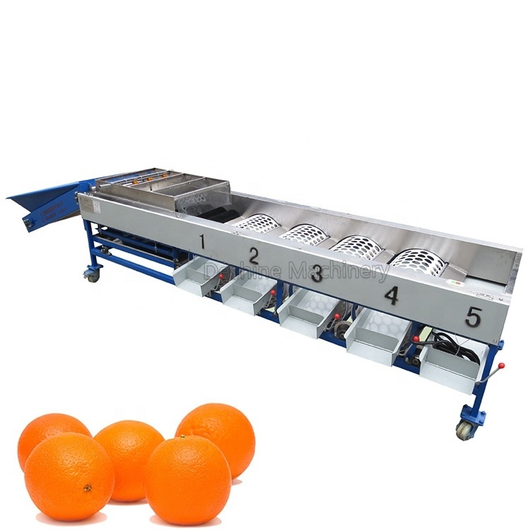 Good quality fruit and vegetable waxing and sorting/grading machine for Citrus/Lemon/Tomato