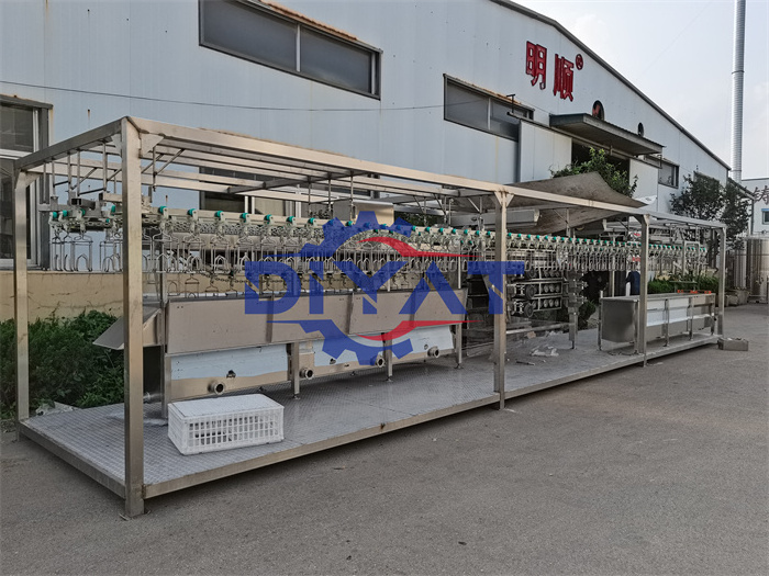 hot selling slaughter house equipment for pig