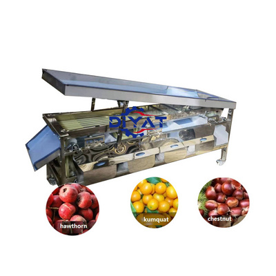 easy to operate olive orange grading machine strawberry tomato potato cherry fruit sorting machine vegetable processing plant