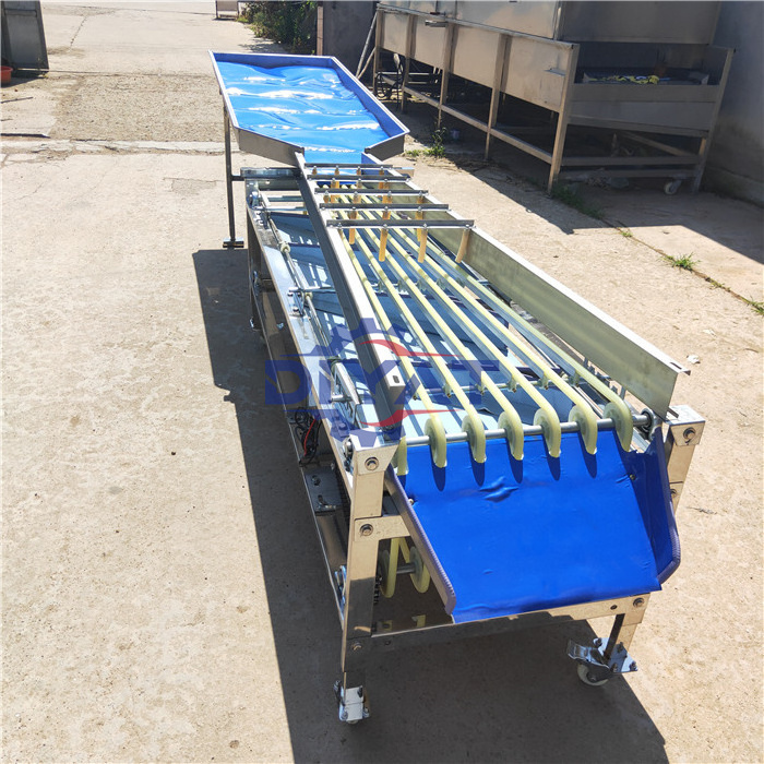 easy to operate olive orange grading machine strawberry tomato potato cherry fruit sorting machine vegetable processing plant