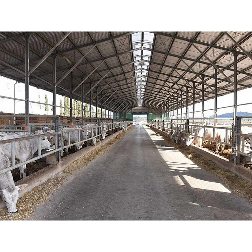 steel structure dairy barn building prefab cattle shed steel cow farm house