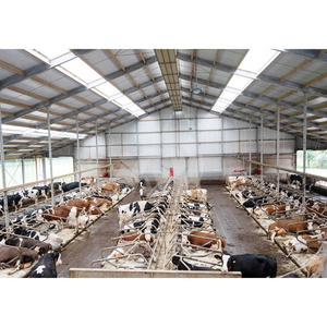 two storey steel structure cow shed metal truss building prefab dairy farm building