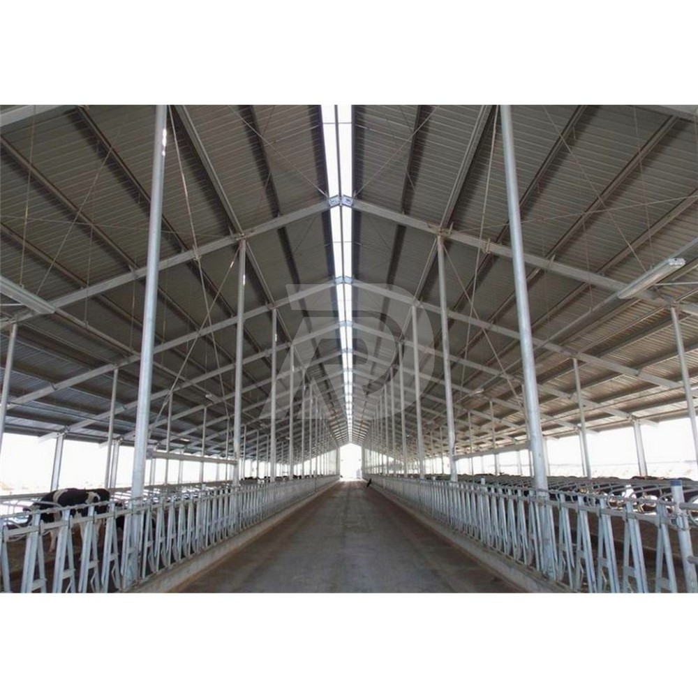 customized design cow farm metal building prefabricated steel structure cow barn