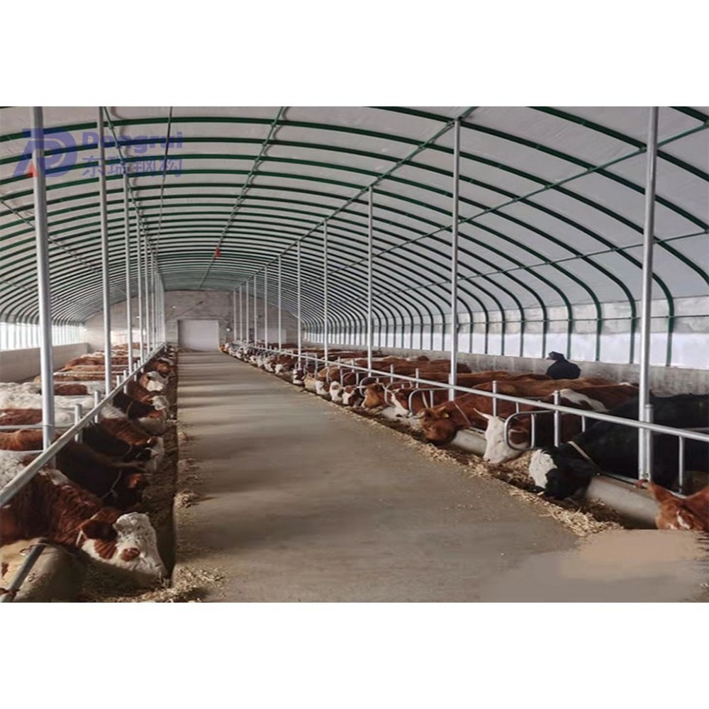 steel frame structure prefabricated cottage controlled poultry cattle farms shed for sale