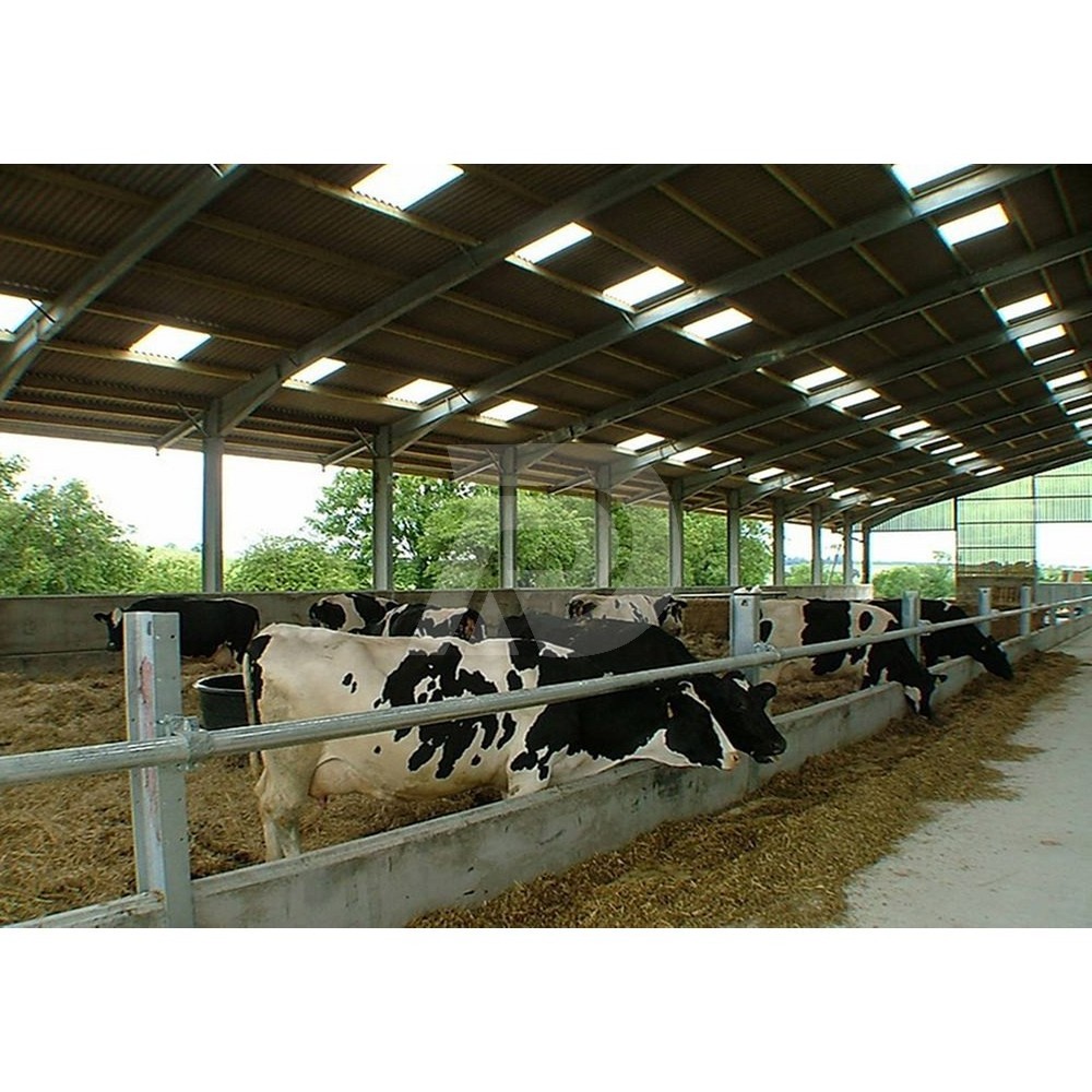 customized design cow farm metal building prefabricated steel structure cow barn