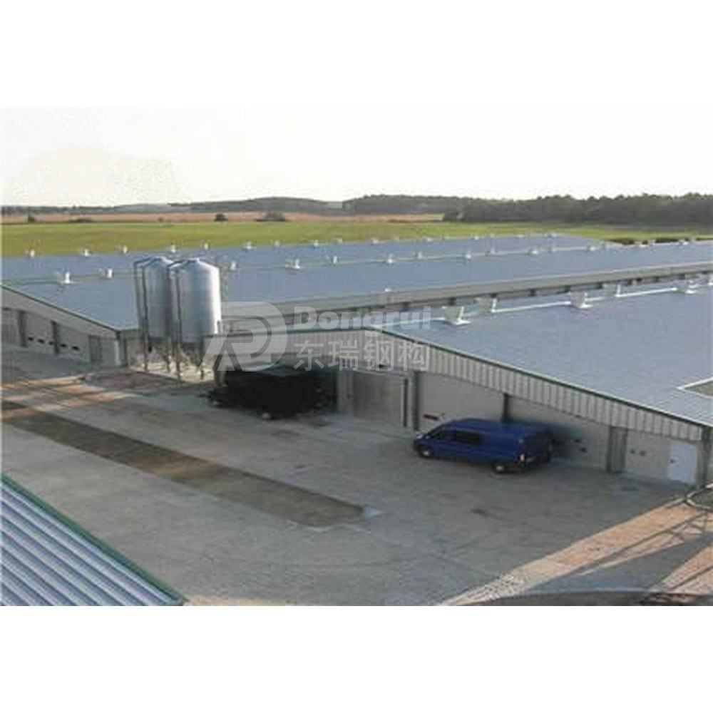 wide span steel structure building prefabricated steel roofing truss poultry house